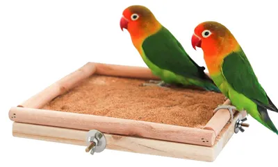 Produktbild von Natürlicher Vogelstand aus Holz mit Kletterelement