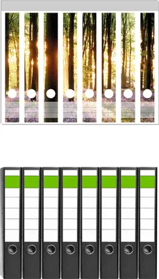 Produktbild von Wallario 8 Stück schmale Ordner inkl. Klebeetiketten mit Motive Blaue Hasenglöckchen im Wald mit Sonnenstrahlen -  Set mit Rückenschildern / Ordnerrücken Stickern