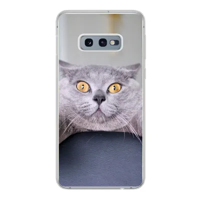 Produktbild von MuchoWow® Handyhülle Schutzhülle Hülle für Samsung Galaxy S10e Katze - Angst - Stuhl Silikon Softcase Handy Hülle - Handy