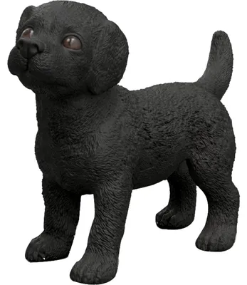 Zdjęcie produktu dla schleich 14922, 3 lat(a), Czarny, Plastik