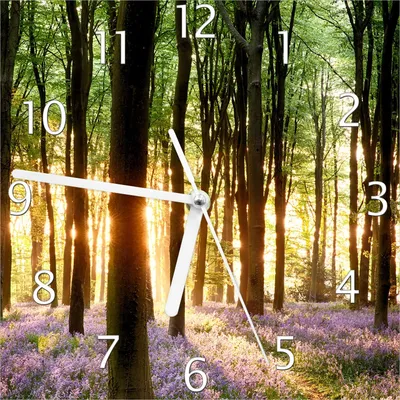 Produktbild von Wallario Design Wanduhr Blaue Hasenglöckchen im Wald mit Sonnenstrahlen aus Echtglas, Größe 20 x 20 cm