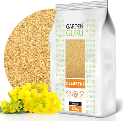 Produktbild von Gelbsenf 25 kg ganze Körner weißer Senf ganz Bienenfreundlicher Gründünger gelb natürlich ohne Zusätze
