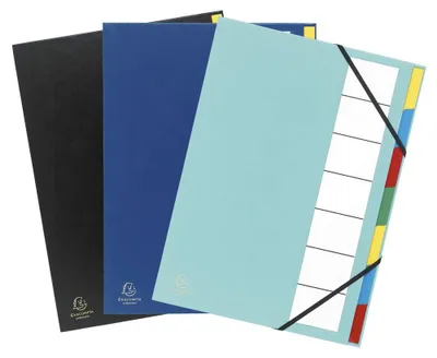 Produktbild von Exacompta 55320E Premium Ordnungsmappe Harmonika Ordonator. Mit festem Einband f