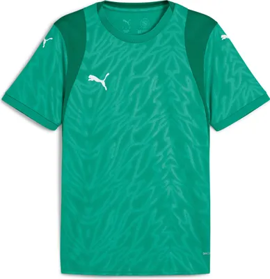 Produktbild von Puma teamCUP Trikot Herren grün weiß Gr M