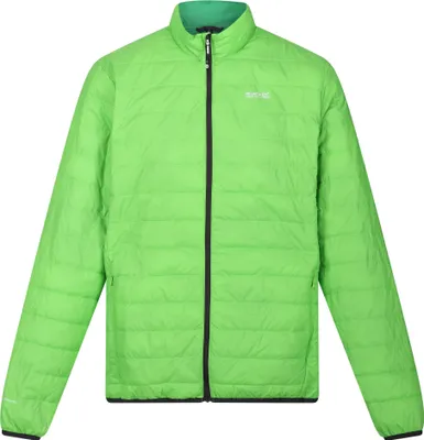 Image de Veste isolante « Hillpack » pour homme RG6350 (XXL) (vert jasmin/vert champ)