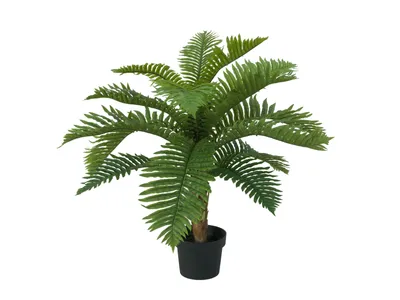 Obrázek produktu pro EUROPALMS Cycas palma, umělá rostlina, 70cm