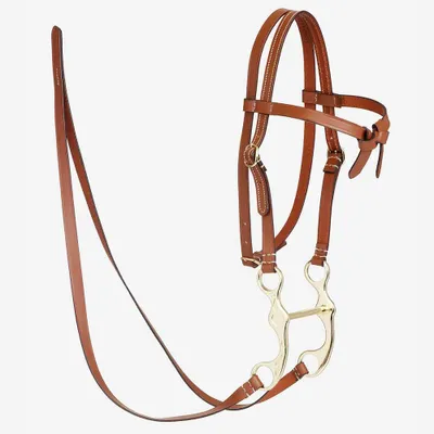 Image de Filet western marron pour hobby horse - Taille A3