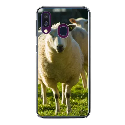 Produktbild von MuchoWow® Handyhülle Schutzhülle Hülle für Samsung Galaxy A40 Schafe - Tiere - Wolle Silikon Softcase Handy Hülle - Handy-Tasche