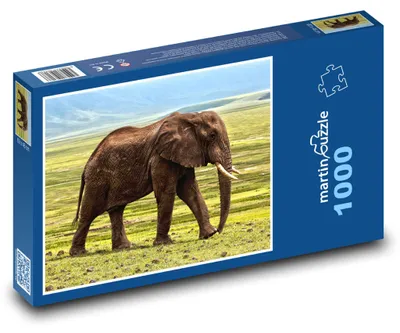 Zdjęcie produktu dla Puzzle 1000 Słoń na wolności - martinpuzzle