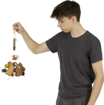 Produktbild von Kokosnuss Schmetterlingsspielzeug Für Papageien - Unterhaltsame Vogelspielwaren