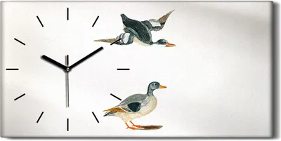 Produktbild von Küche Wohnzimmer Wand Leinwand Uhr 60x30 Zeichnen von Tieren Vögel Kunst - schwarze Hände