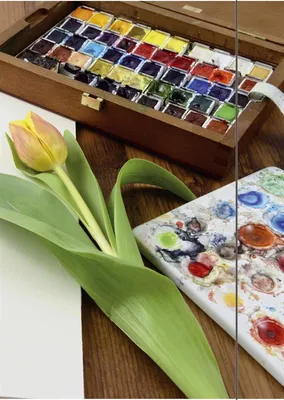 Produktbild von RNK Verlag 45315 Zeichenmappe Tulpe - A3, mit Gummizugverschluss