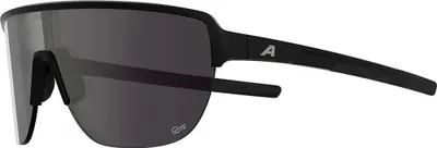Zdjęcie produktu dla Alpina ram 2.0 q-lite – okulary sportowe