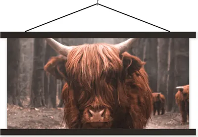 Produktbild von MuchoWow® Textilposter Schottisches Hochlandrind - Wald - Kuh - Tiere - Natur 120x60 cm mit schwarzem Rahmen - Dekoration Schlafzimmer