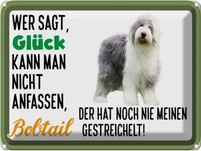 Produktbild von vianmo Blechschild 30x40 cm Glück nicht anfassen Bobtail Hund