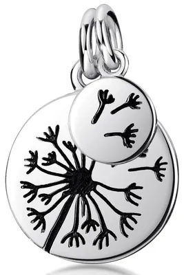 Produktbild von MATERIA by Matthias Wagner Anhänger mit Pusteblume - Damen Kettenanhänger Silber 925 rund KA-287
