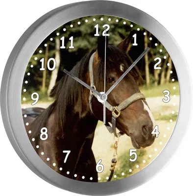 Produktbild von Funkuhr, Kinder Wanduhr, Kinderuhr, Kinderzimmer Pferd Original