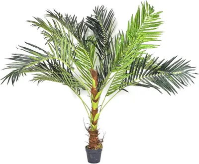 Produktbild von NATURN LIVING Kunststoff Sago Palme - ø 60 x 142,5 cm - Pflegeleichte Cycas Revoluta - Kunstpflanze - Lebensechte Kunstpalme - Exotische Palme - Grün