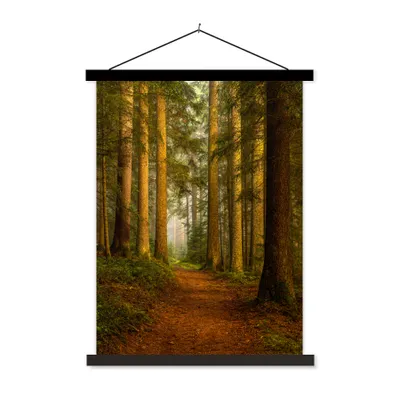 Produktbild von MuchoWow® Textilposter Wald - Natur - Bäume - Landschaft - Laub 40x53 cm mit schwarzem Rahmen - Abbildung