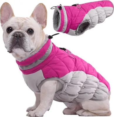 Image de Manteau d'hiver imperméable pour chiens taille M Rose