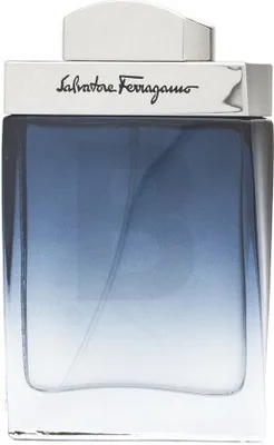 Immagine prodotto di Salvatore Ferragamo Subtil Pour Homme Eau de Toilette per uomo 50 ml