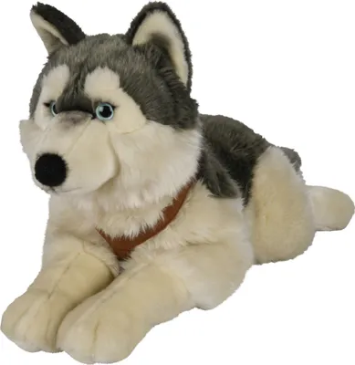 Produktbild von Uni-Toys - Großer Husky mit Geschirr, liegend - 62 cm (Länge) - Plüsch-Hund - Plüschtier, Kuscheltier