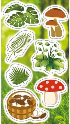 Produktbild von RANOK 41271 Pflanzen- und Pilzaufkleber