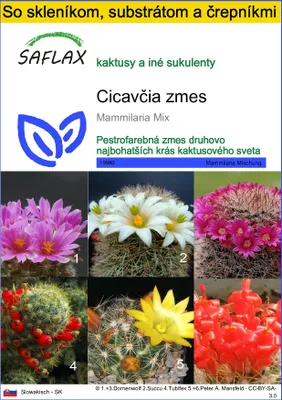 Produktbild von SAFLAX Kultivačný set - Cicavčia zmes - Mammilaria Mix - 40 Semená - S mini skleníkom, pestovateľským substrátom a 2 črepníkmi