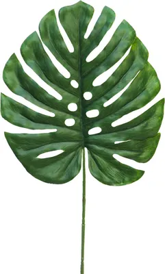 Produktbild von artplants.de Kunstblatt Philodendron Monstera Deliciosa JIAYAN, 45 cm - Deko Blatt