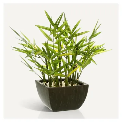 Image de Bambou artificiel en pot - 36 x 36 x 35 cm - Vert