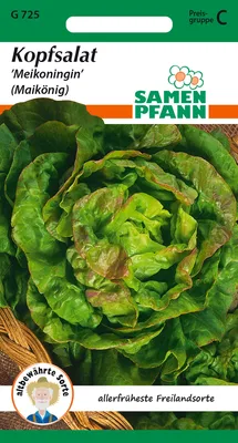 Produktbild von Kopfsalat Maikönig | Kopfsalatsamen von Samen Pfann [MHD 01/2025]