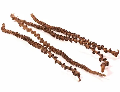 Immagine prodotto di Banana naturale Liana per tutti i PaPug 35 - 45 cm