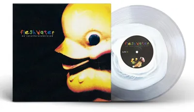 Fleshwater – We're Not Here to Be Loved (Vinyl-LP, Rock)