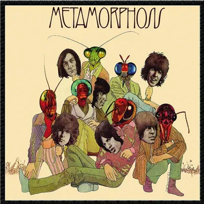 Image de Métamorphose