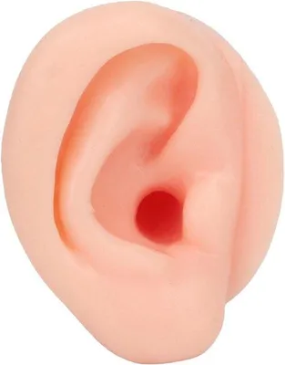 Produktbild von Silikonisches Ohrmodell für Menschen mit langem Gehörgang, herstellbar, für das Sieraden-Display und das Lernmodell.