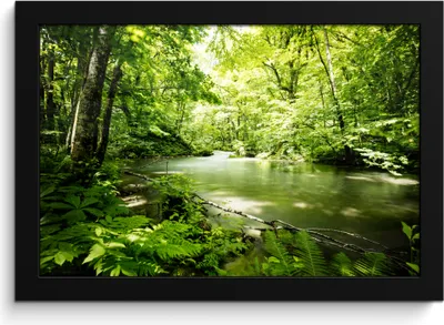 Produktbild von MuchoWow® MuchoWow® Gerahmtes Poster Wald - Baum - Wasser 30x20 cm - Poster mit zchwarzem Bilderrahmen - Kunstdruck - Bild-Poster