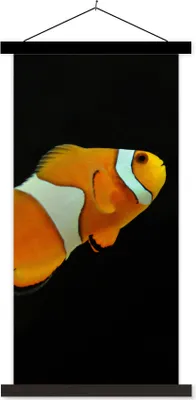 Produktbild von MuchoWow® Textilposter Fisch - Linie - Schwarz 60x120 cm mit schwarzem Rahmen - Magnete