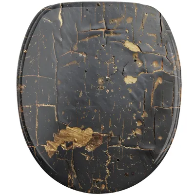 Obrázok produktu pre SANILO® WC sedadlo s mäkkým zatváraním Shield, WC sedadlo, WC sedadlo, WC sedadlo, WC sedadlo, WC sedadlo, WC sedadlo priamo od výrobcu