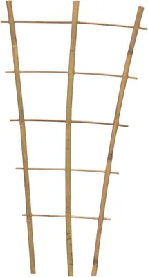 Produktbild von Bambus Rankgitter 60 cm 60 x 28 x 12 cm