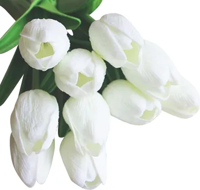 Produktbild von OKWISH Künstliche Tulpen Weiß 10 Stück ohne Vase – Realistische Kunstblumen Bouquet, Pflegeleicht, Elegante Deko für Wohnzimmer, Schlafzimmer & Esstisch, Zeitlose Wohnaccessoires