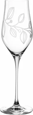 Produktbild von Leonardo Champagnerglas Boccio, Schaumweinglas, Kristallglas, Klar, 340 ml, 066432