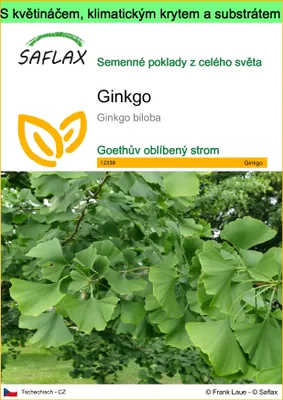 Obrázek produktu pro SAFLAX Garden to go - ginkgo - Ginkgo biloba - 4 Semena - S květináčem, klimatickou poklicí a pěstebním substrátem