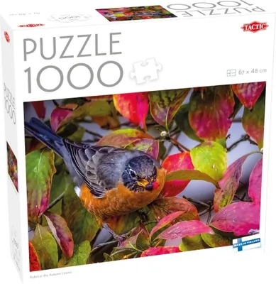 Obrázek produktu pro Tactic 60473, 1000 kusů, Zvířata, 9 rok/roky