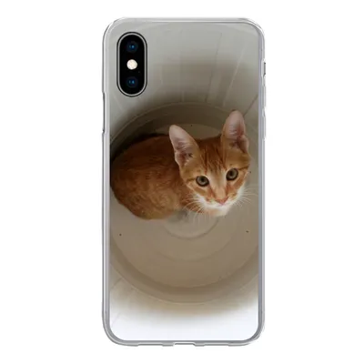 Produktbild von MuchoWow® Handyhülle Schutzhülle Hülle für iPhone X Katze - Mülleimer - Weiß Silikon Softcase Handy Hülle - Handyhülle