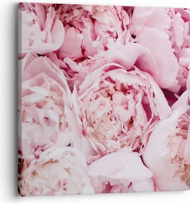 Produktbild von Bild auf Leinwand - Leinwandbild - Einteilig - Blumenstrauß Blumen Rosa - 30x30cm - Wand Bild - Wanddeko - Wandbilder - Leinwanddruck - Bilder - Wanddekoration - Leinwand bilder - AC30x30-5001