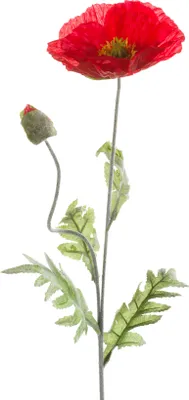 Produktbild von künstliche Mohnblume mit 1 Blüte + 1 Knospe rot H. 70cm Emerald Kunstblumen