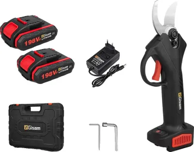 Immagine prodotto di Potatore a batteria, potatura efficiente, taglia rami elettrico, 2 batterie Black Plas