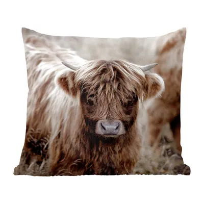 Produktbild von MuchoWow® Zierkissen Sofakissen Wohnzimmer Dekokissen 45x45 cm Schottisches Hochlandrind - Kühe - Braun - Schlafpolster - Polster für das Sofa