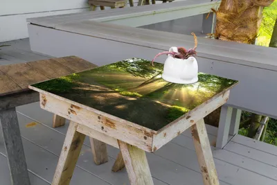 Produktbild von Wallario selbstklebende Möbelfolie/ Tischdecke für Innen und Außen, Größe: 60 x 60 cm - Weggabelung im Sonnenschein