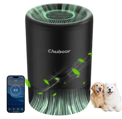 Productafbeelding van Luchtzuiveraar, H13 HEPA-filter, extreem stille werking, zwart, wifi, 2,5 kg